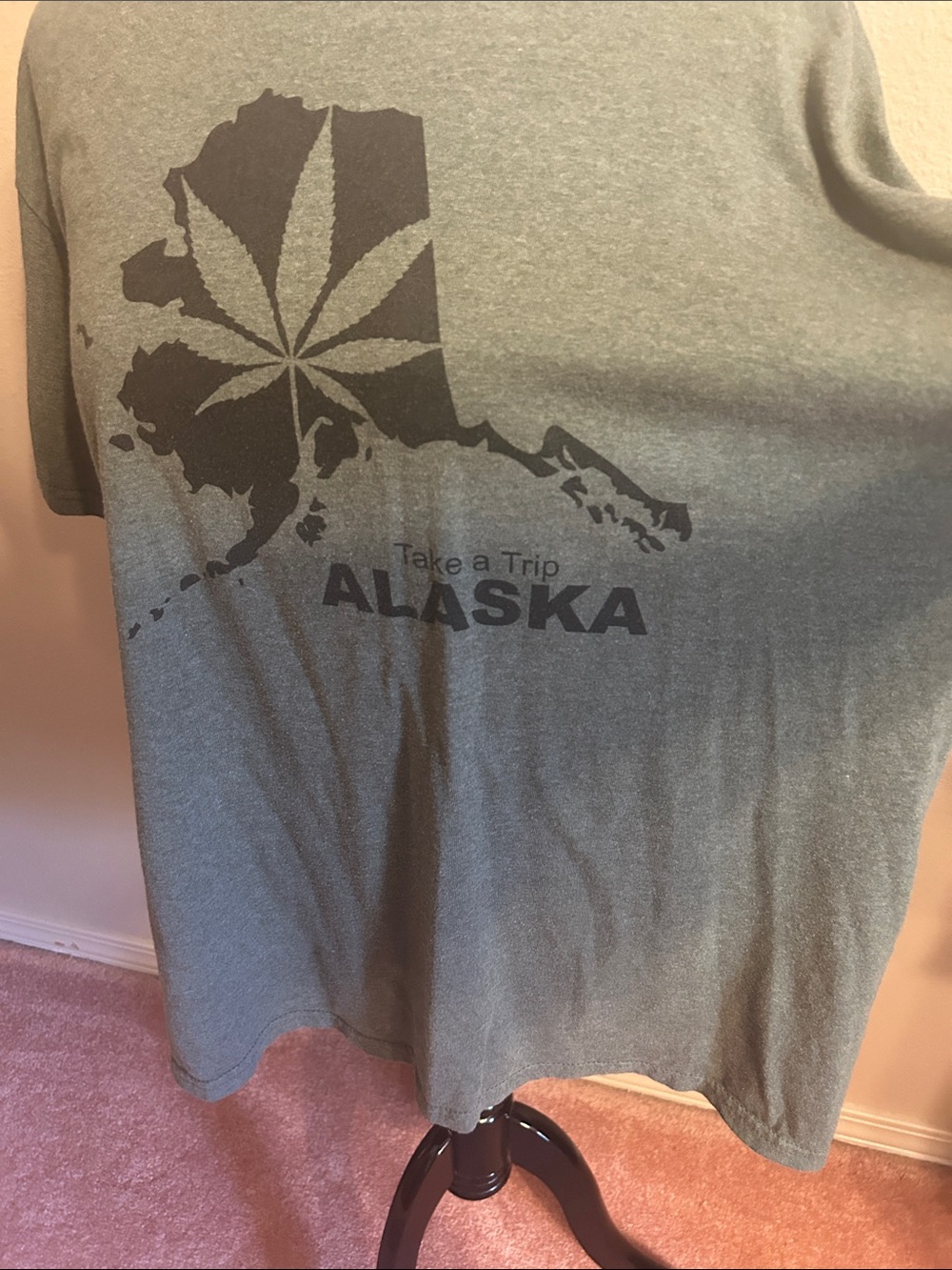 Gildan Gray Alaska 'Take a Trip' Graphic Tee